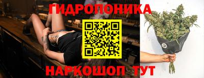 гидропоника Берёзовский