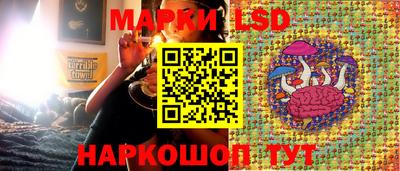 прущие крисы Бийск