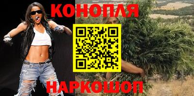 прущие крисы Бийск
