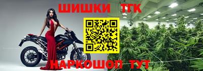прущие крисы Бийск