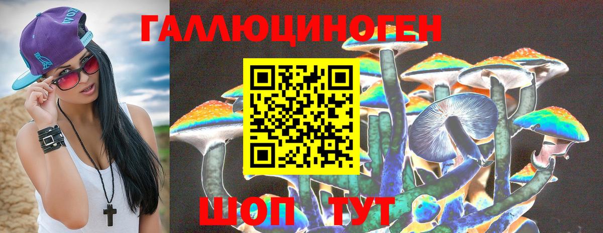 Псилоцибиновые грибы мицелий  где купить   Калининград  Вход с VPN 